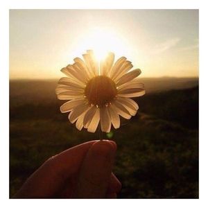 Meet your Posher, My